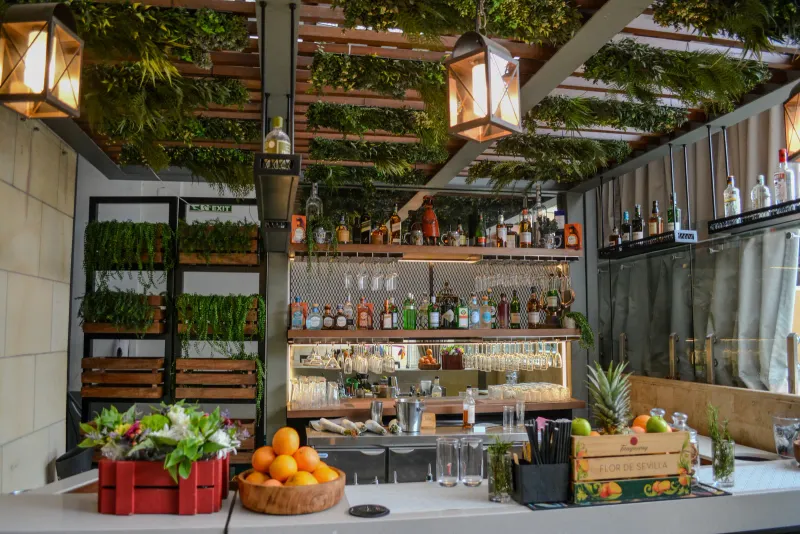 The Social House 37